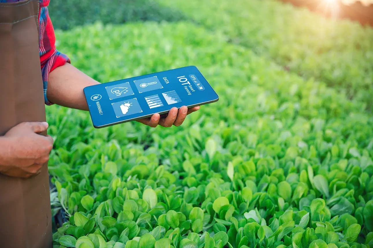 IoT Connectivity: Getting Started as a Managed Service Provider