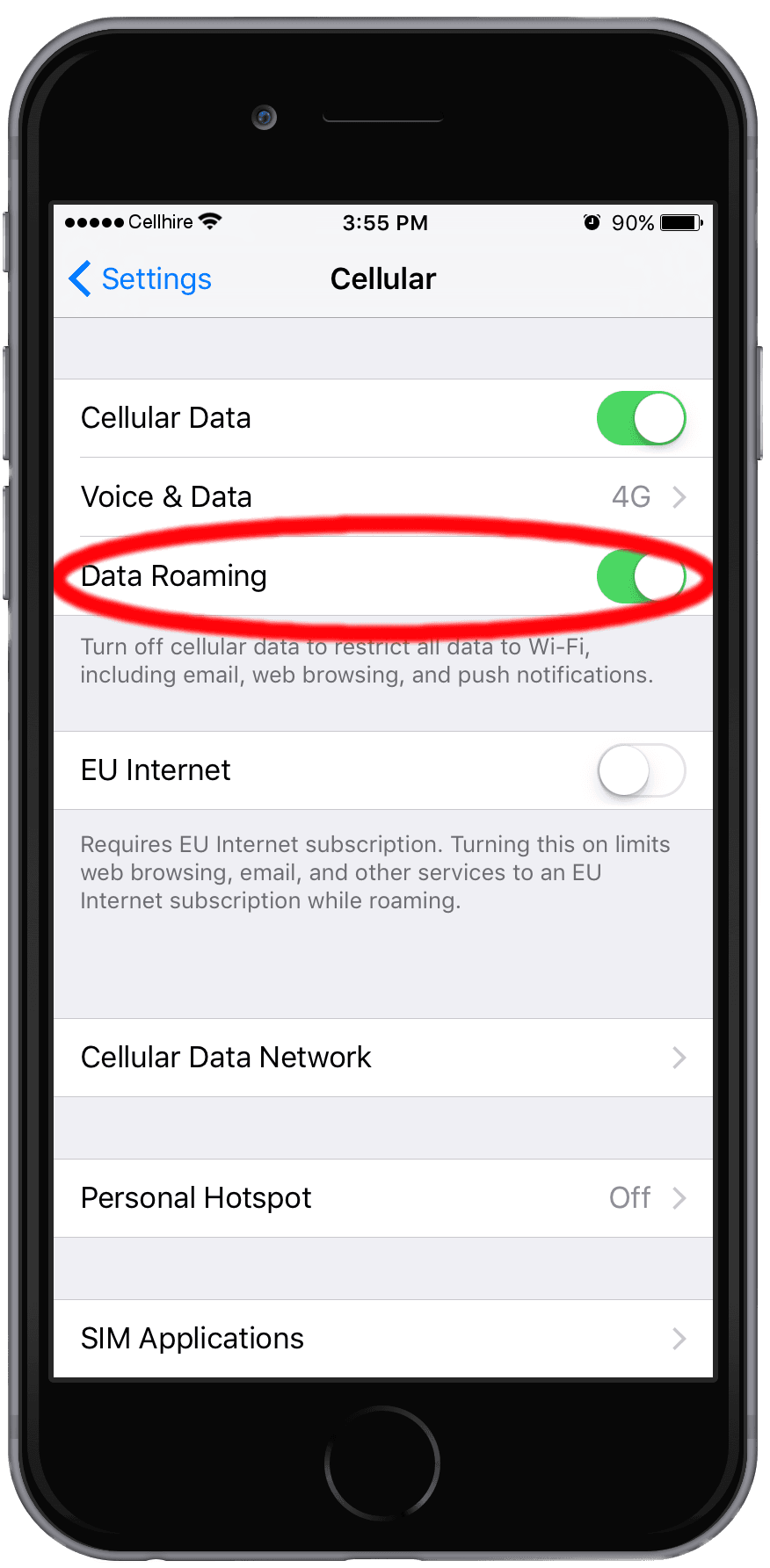 iPhone 'Cellular' settings screen with 'Data Roaming' circled.