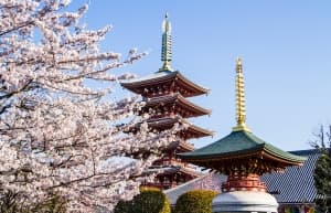 Japanese pagoda.